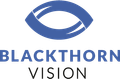 Blackthorn Vision