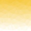 LIMITED LIABILITY COMPANY APOM SOLUTIONS
